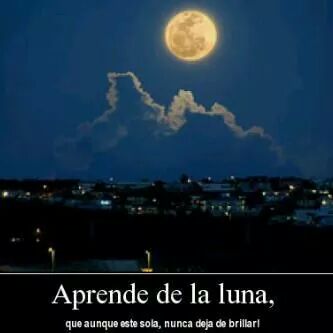 Michellcortes32 tweet picture