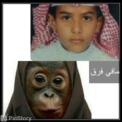 مافي فرق هههههههه