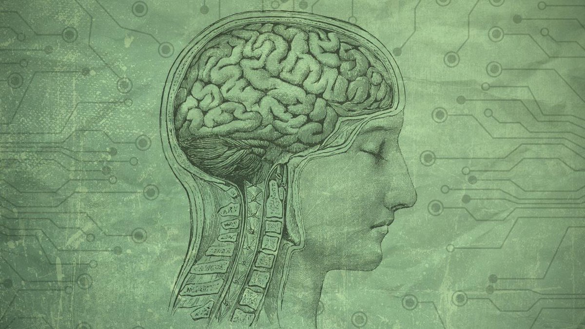 Мозг и память после 40. Рабочая память человека. Сознание фон для презентации. Психические процессы фон для презентации. Мозг с банками памяти.