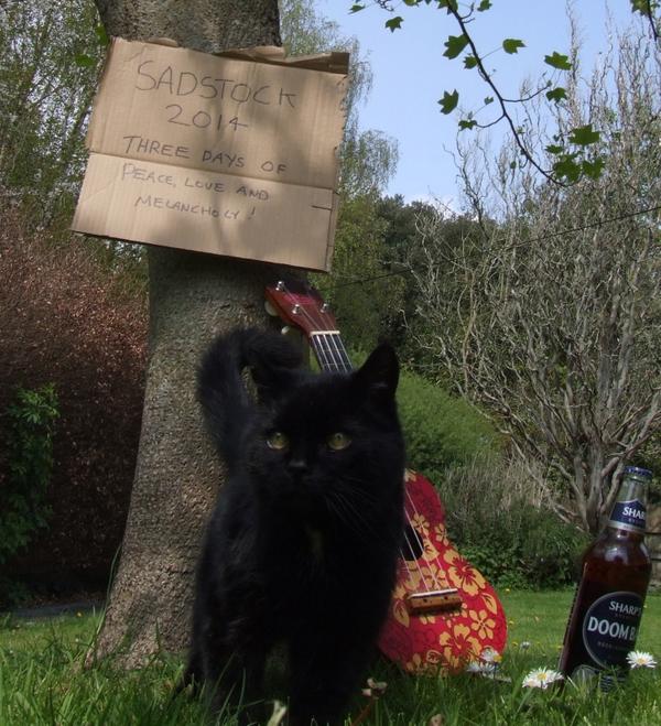 My cat is sad because he heard that everyone likes music festivals these days so he started his own, but nobody came.