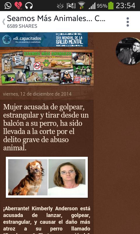 SanMaestro4 tweet picture