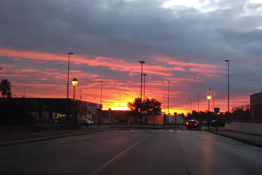 AndreaCorrupted's tweet image. Beautiful things are not common. #CorruptedOff #TwitterOff