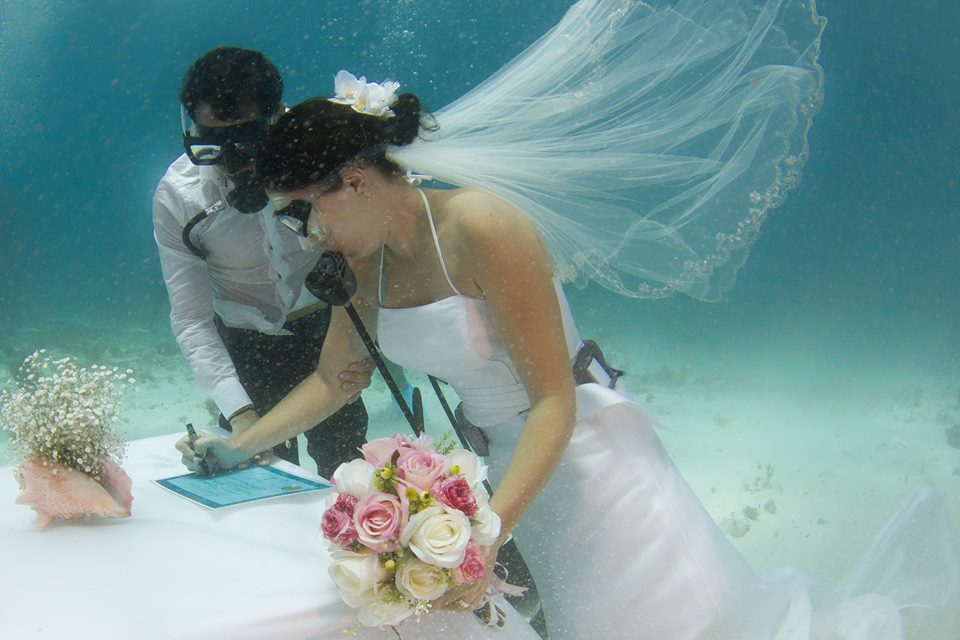 Celebra tu boda bajo las azules aguas del #CaribeMexicano. #TurismodeBodas <a href="/CaribeMexico/">CARIBE.MX</a> <a href="/VisitMex/">Visit México</a> <a href="/sedetur/">HENRIQUE SEDETUR</a>