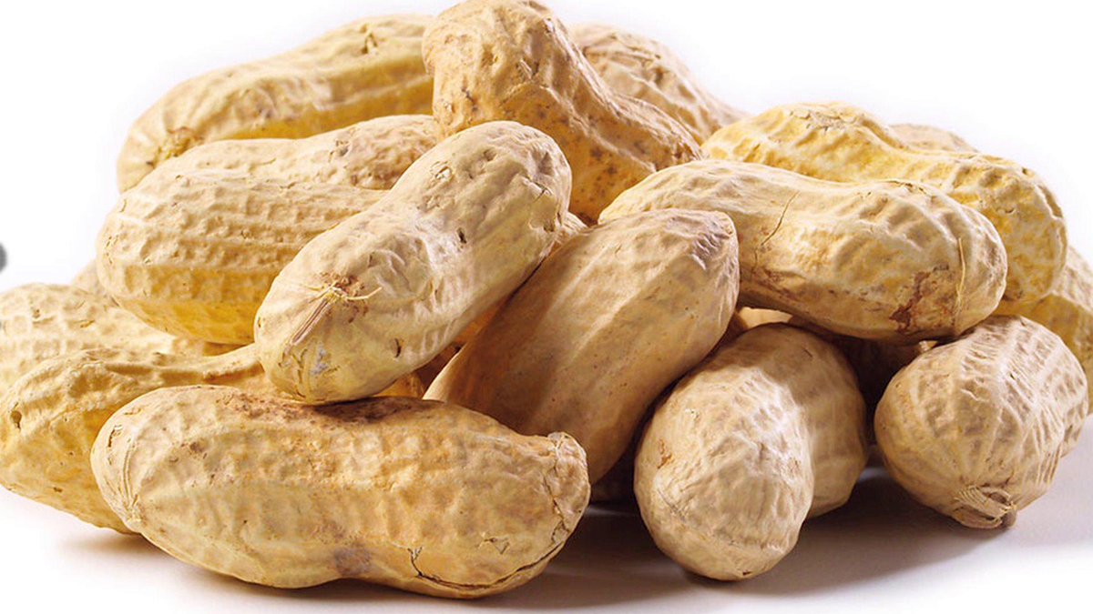 Sulli477's tweet photo. @ggseoz ini kacang unn http://t.co/jnu05QkP64