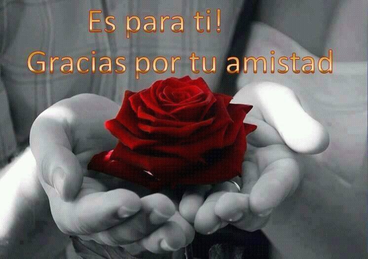verinhaluccia's tweet photo. BUENAS NOCHES!! A todas http://t.co/jsJRCgOb8h