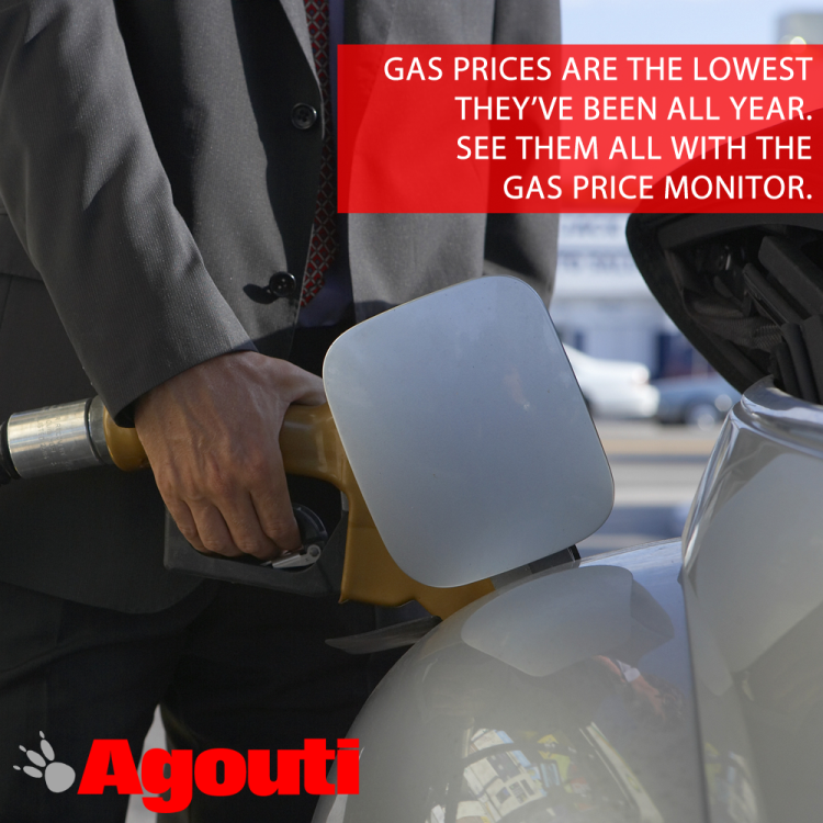 Agoutiapp's tweet photo. Gas prices have dropped! Use Agouti to compare and see which station has the cheapest prices. #Cayman #agoutiapp http://t.co/NWlAVsQIwZ