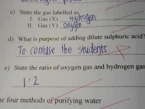 RayCoopTeacher's tweet photo. #SomeTimesYes http://t.co/nLJhclcGJK