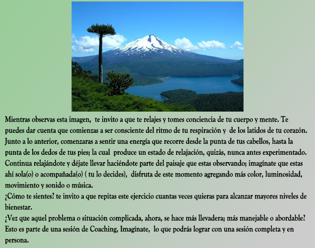 CoachingActivo tweet media