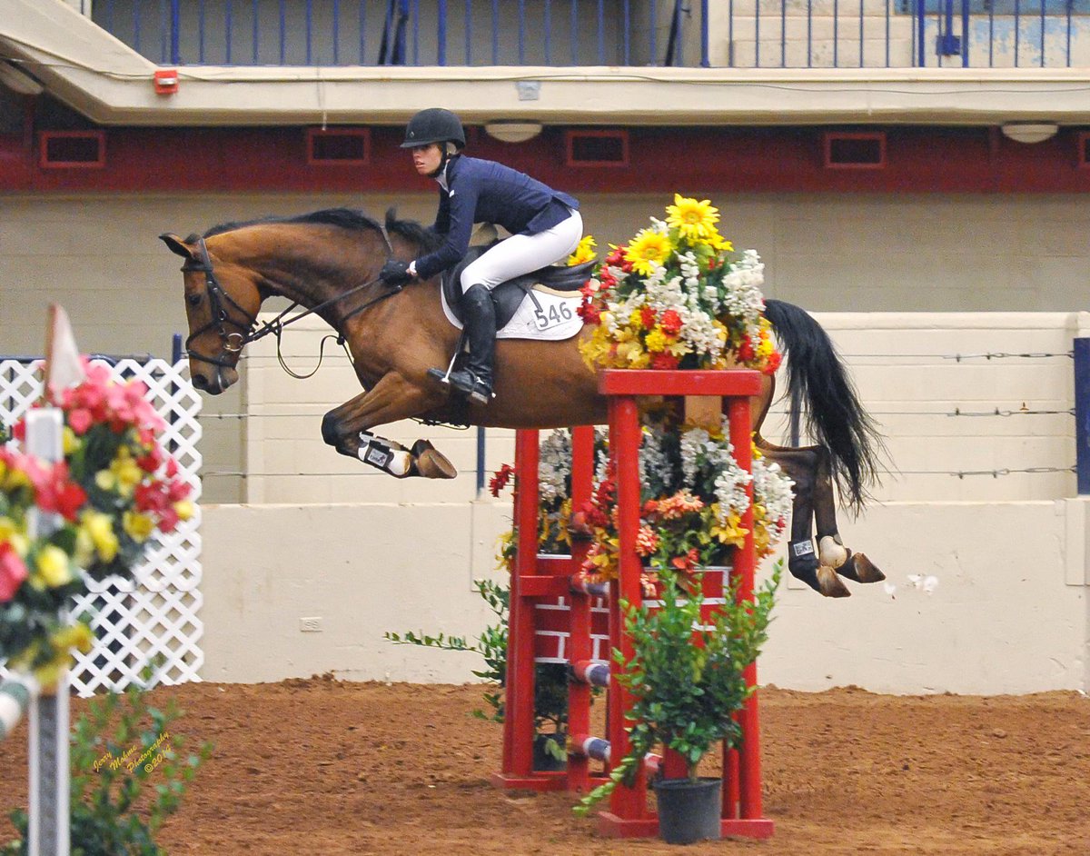 JessieRyann96's tweet photo. “@Rollbackz: Photos from the 1.25m Classic this past weekend! #ridingslip http://t.co/Mhoj3E5ZEe” goals