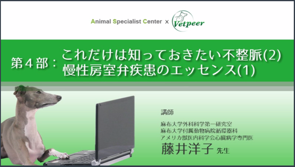 ウルトラ動物病院 Twitterren Vetpeer Webセミナー Animal Specialist Center主催 第4部 これだけは知っておきたい不整脈 2 慢性房室弁疾患のエッセンス 1 受講 講師 藤井洋子先生 麻布大学 米獣医内科学会心臓病学専門医 Http T Co Kbbor9jsep ウルトラ動物病院 Twitterren Vetpeer Webセミナー Animal Specialist Center主催 第4部 これだけは知っておきたい不整脈 2 慢性房室弁疾患のエッセンス 1 受講 講師 藤井洋子先生 麻布大学 米獣医内科学会心臓病学専門医 Http T Co Kbbor9jsep