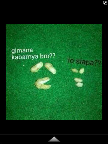 Tuh denn"<a href="/DendSkyyy/">Dendy Saputra☮</a> <a href="/dands_saputraaa/">dandy saputra</a> <a href="/dands_saputraa/">Dandy Saputra</a>