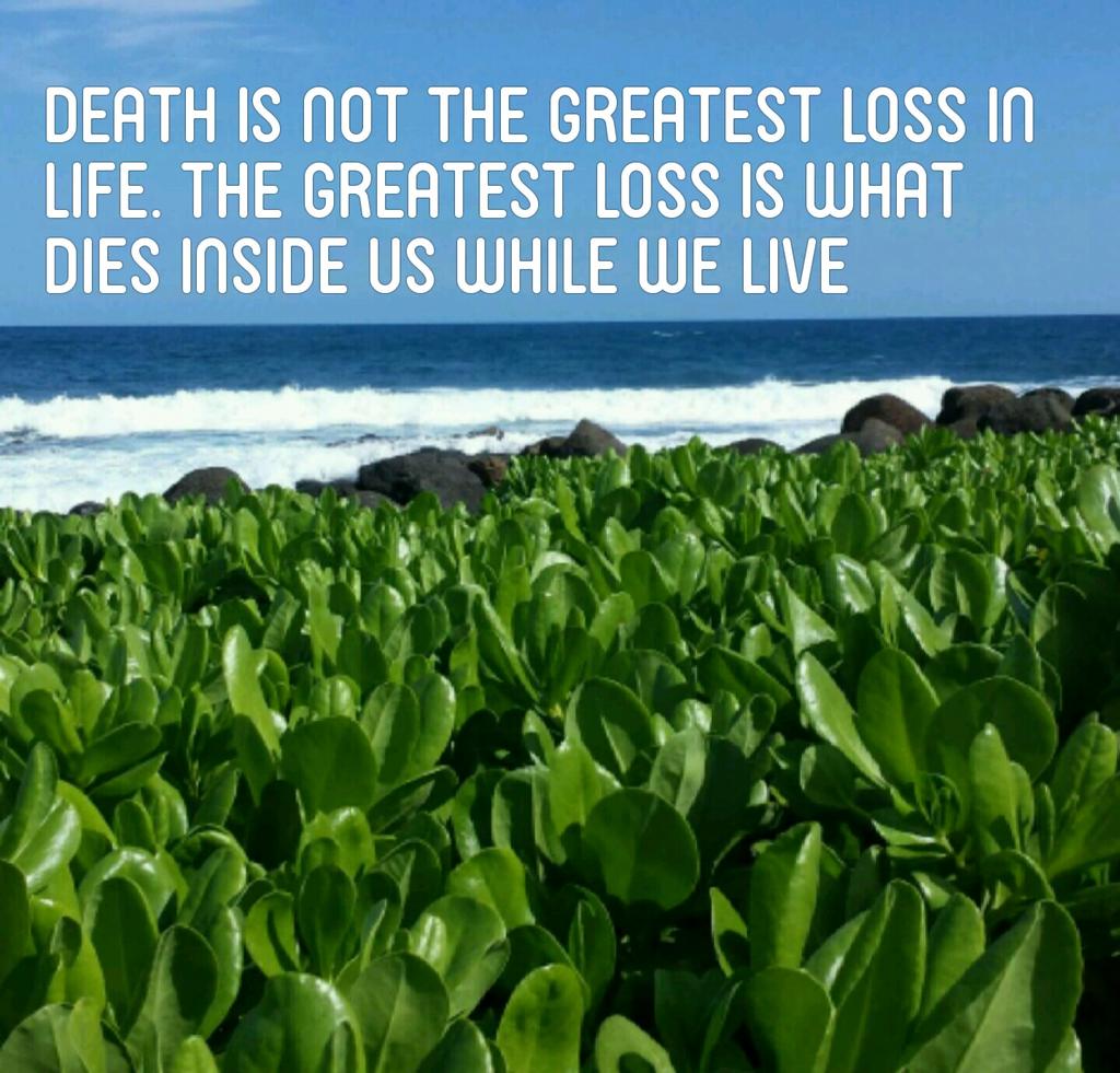 Chaplain2000's tweet image. Created with Kwote!