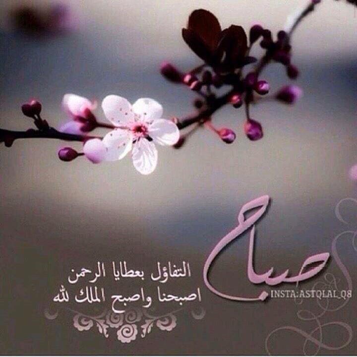 p123123m's tweet photo. صباح🌹🍀 🌟النسمات الباردة🌟🌸
لقلوبكم الدافئة 

صباح الرضا والطمأنينة والسكينة

 http://t.co/LW4UmCugGd