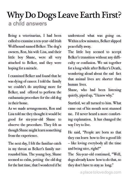 A J ϟ Ss Ch Aj Hoeskii Twitter