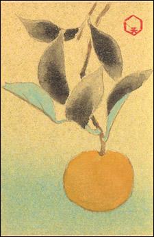 日本の誕生花 V Twitter １２月１６日の誕生花 蜜柑 みかん 花言葉 ひと時の潤い 暖地が大好き もちろん冬に結実 瀬戸内海を背景にした蜜柑畑を思い浮かべる方も多い事でしょう 温州と書いてミカンと呼んだりもする鹿児島蜜柑は 日本の代表種 Http T Co