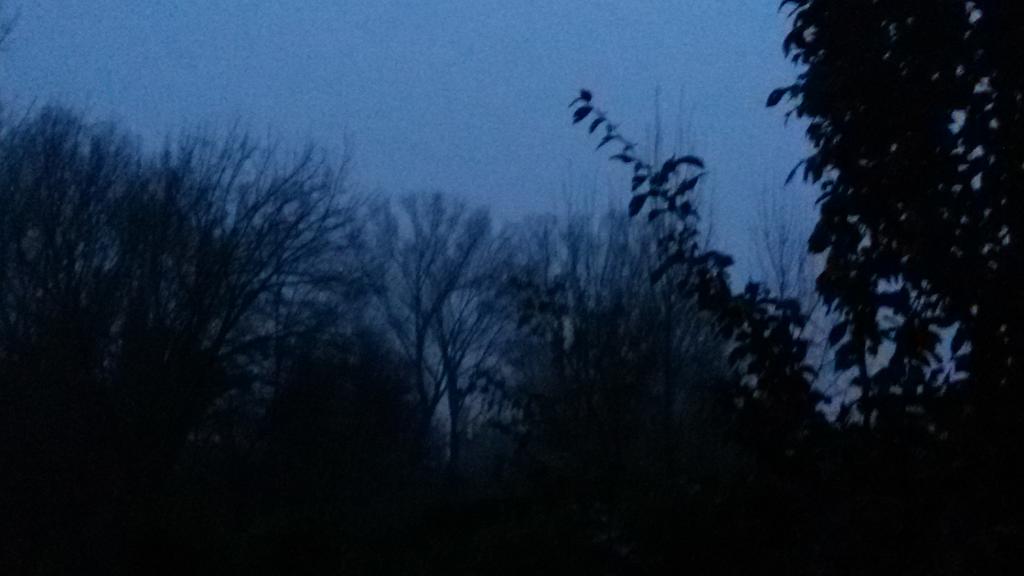 First lights of a new day.We need promises and he promised. On Xmas Help 4 a better world #isf isfoundation.com/give