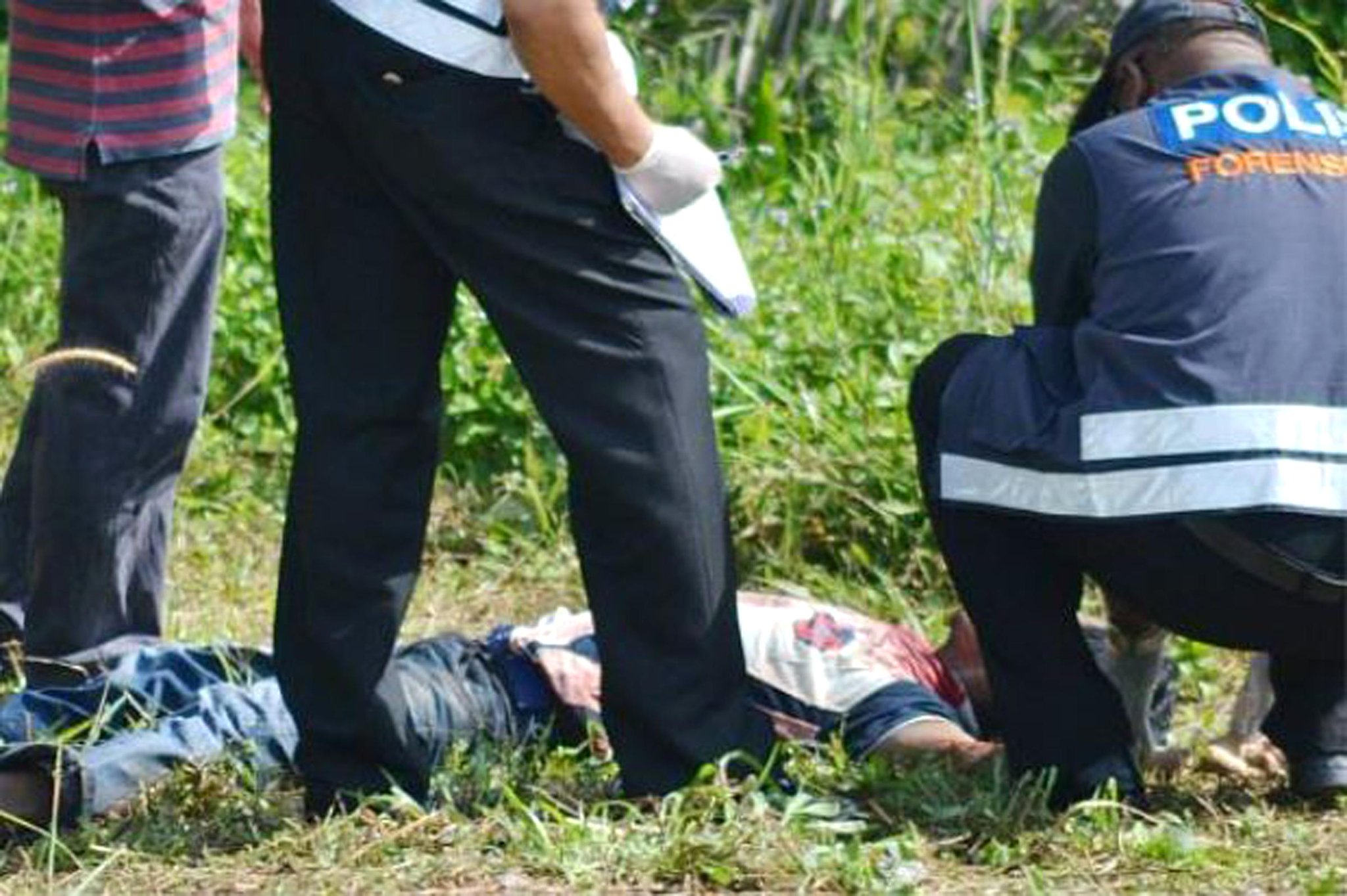 Embedded image permalink