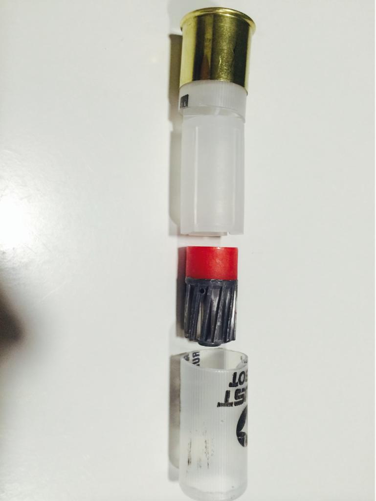 jlapatza's tweet photo. Como es una bala de escopeta por dentro??? Pequeños torpedos... http://t.co/JzptB8kz1O
