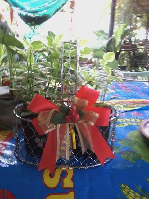 phais571's tweet image. ใกล้ปีใหม่แล้วสนใจให้ไม้ดอกไม้ประดับเป็นของขวัญ ดูรูปสวยๆได้ที่เพจ ป้าอี๊ดต้นไม้ เลยค่ะ