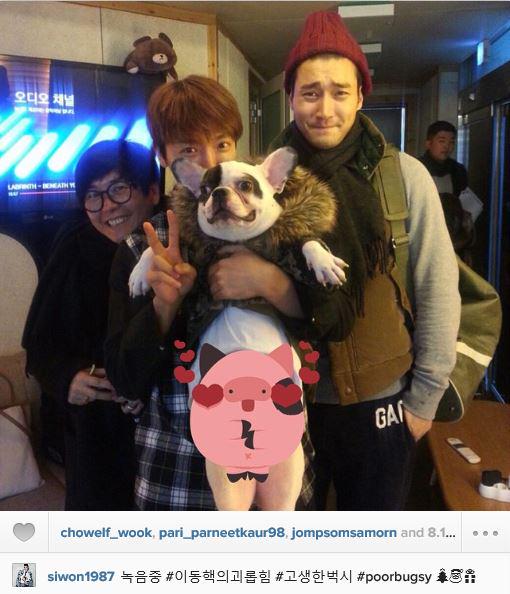 ELF_for407's tweet photo. [TRANS] 141216 Siwon's TW &amp; IG (2) update: during recording #leedonghaekbullying #sufferedbugsy #poorbugsy http://t.co/uBWOFD6OxE