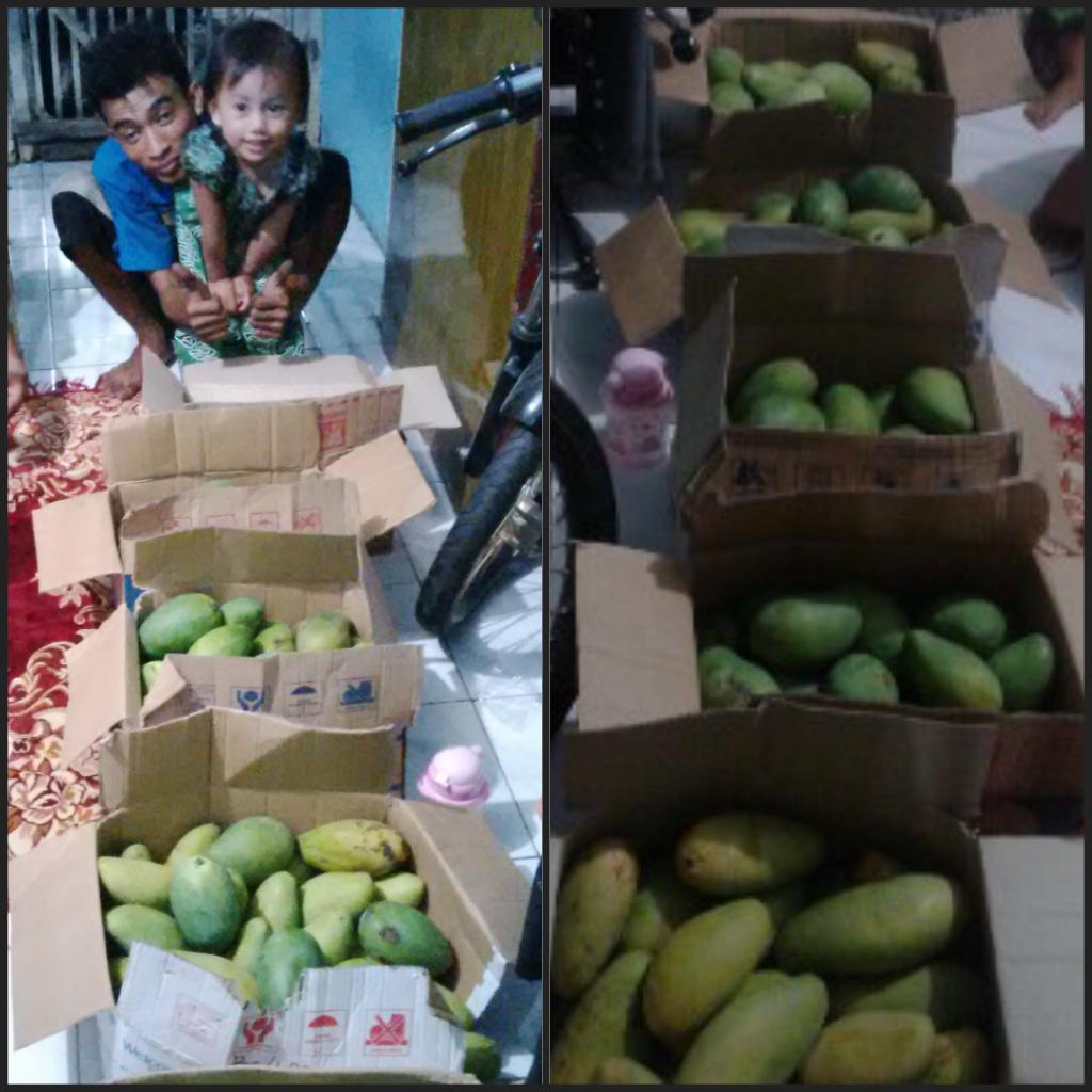 Ini manggaku? Mana manggamu? #edisi bikin ngiler org lain