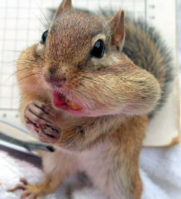 SonTopicos's tweet photo. Tu cara después de las 12 campanadas. http://t.co/BkCnhwLvyc