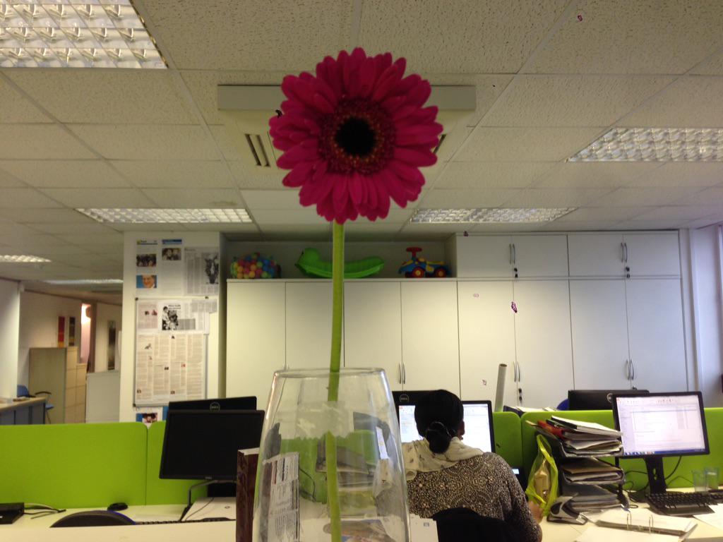 Bringing more colour to office life #DiscoverOLED