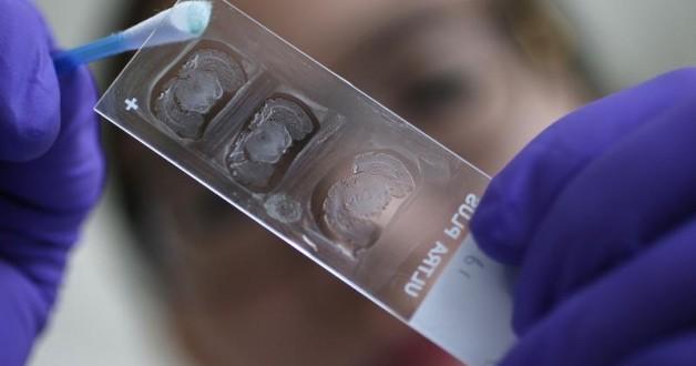 Permalien de l'image intégrée