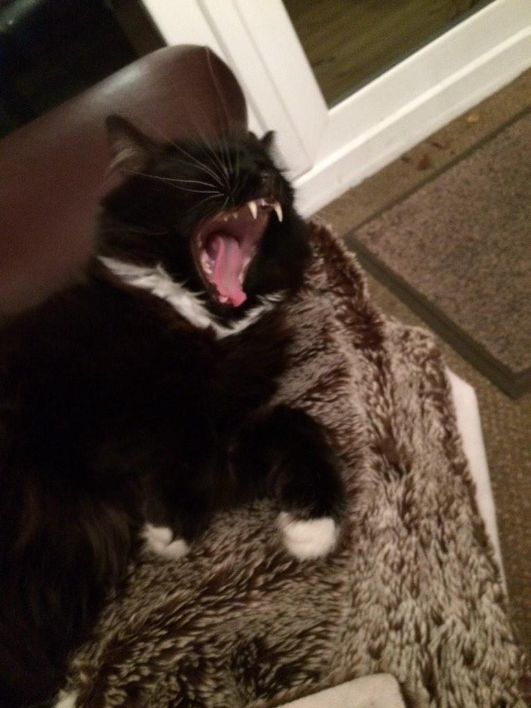 Happy birthday to Jay Z and and Jeff Bridges and     