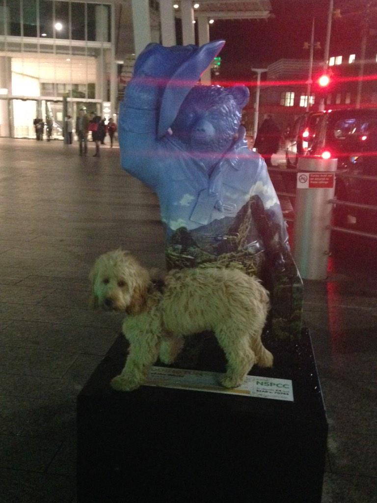 PaddingtonDog's tweet photo. Here I am meeting my namesake @paddingtonbear at London Bridge station! #Paddington #PaddingtonDog http://t.co/nS5yW5nv2F
