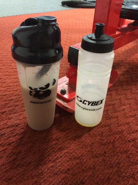 M1Jarvis's tweet image. Match made in heaven. @monkeynutrition @cybex @1MuscleMachine