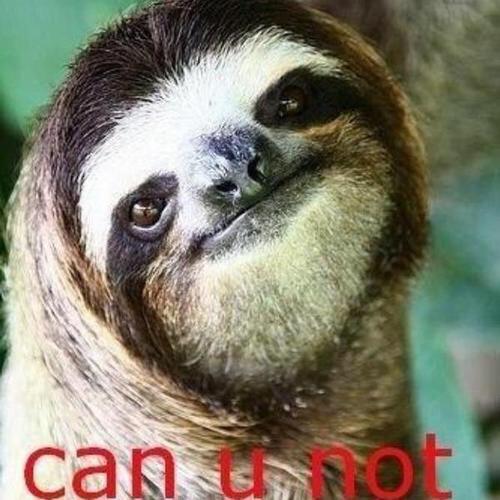 kimboandersen's tweet photo. Can you not? @BaristaJesse @JoyJoyBells @whirlygig626 @SawyerBean21 http://t.co/azigCZu7am