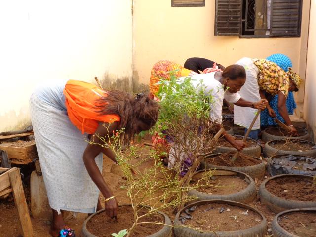 Les productrices autonomes de Thiès réinventent les micro-jardins urbains ! bit.ly/1wXMm18 #Sénégal