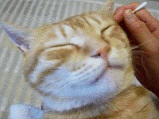 mimikaki_bot's tweet photo. ふぅ http://t.co/E5MZUHn8sQ