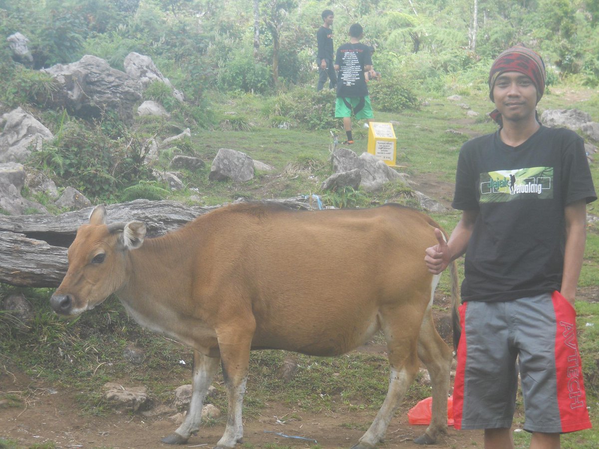 Pos v Mt.Bawakaraeng Gowa-Sulsel <a href="/infogunung/">infogunung</a> ....