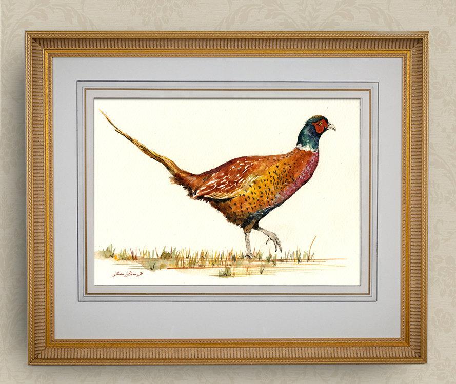 Enlace permanente de imagen incrustada