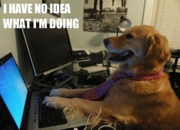 prestonjames100's tweet photo. SEO feels like this. @FitInbound #SEO #teachme http://t.co/zWDOmIOrQC