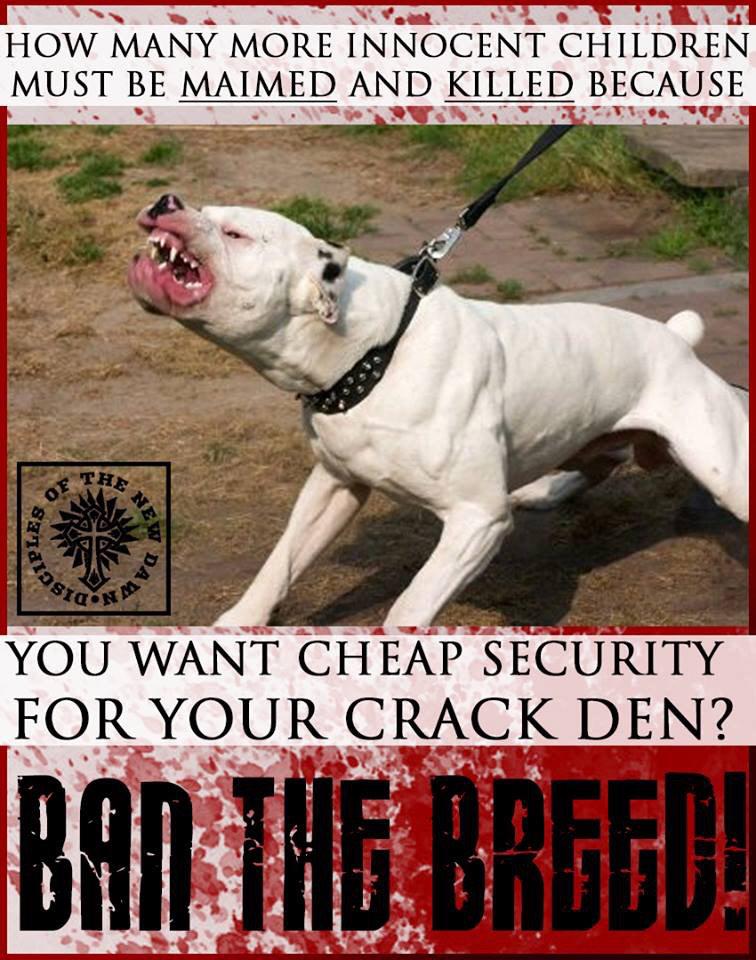 DawnDisciples's tweet image. Pit bulls are the most dangerous breed of dog. They should be banned.