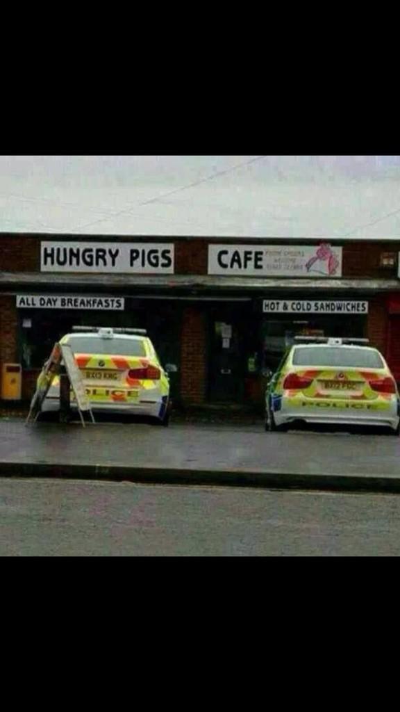 MprReam tweet picture