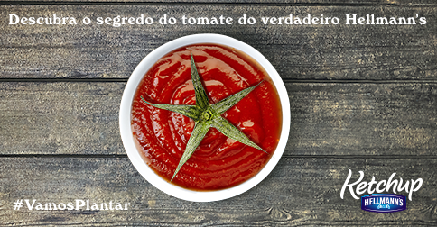 hellmannsbrasil's tweet photo. O nosso Ketchup só poderia ser feito com tomates suculentos e perfeitos! http://t.co/iaFMupdLBF #VamosPlantar http://t.co/B9CDELAd9U