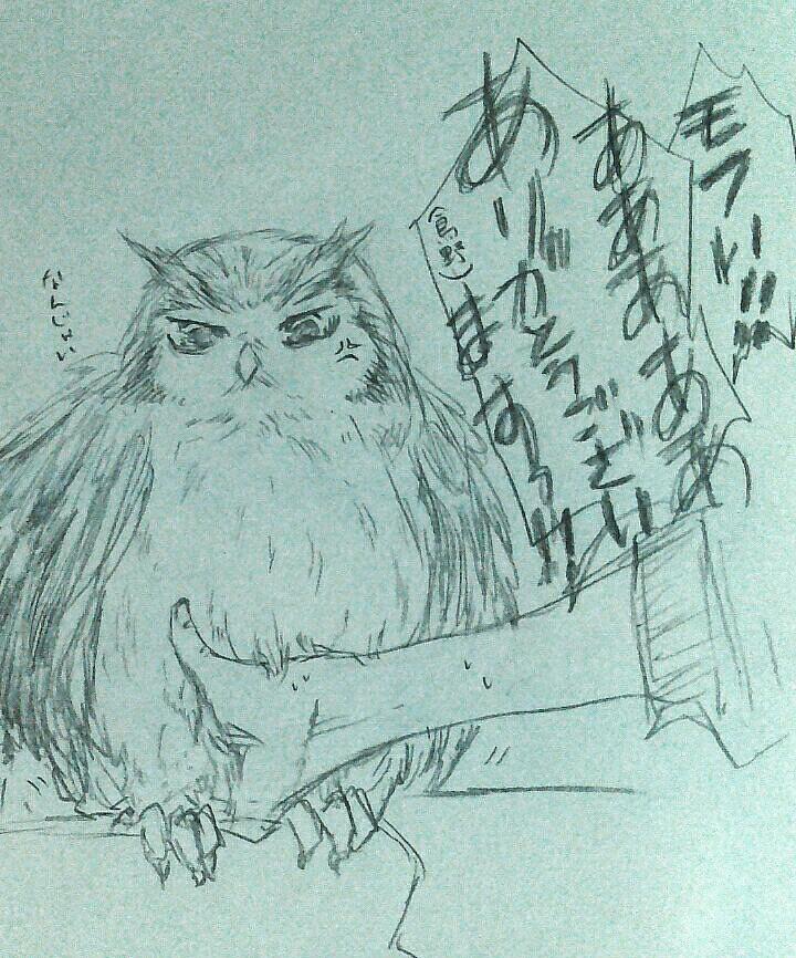 先日のふくろうカフェで丸くなったふくろうの股間に手をぶっこむというセクハラをしていて、写真取れなかったのが残念で。 