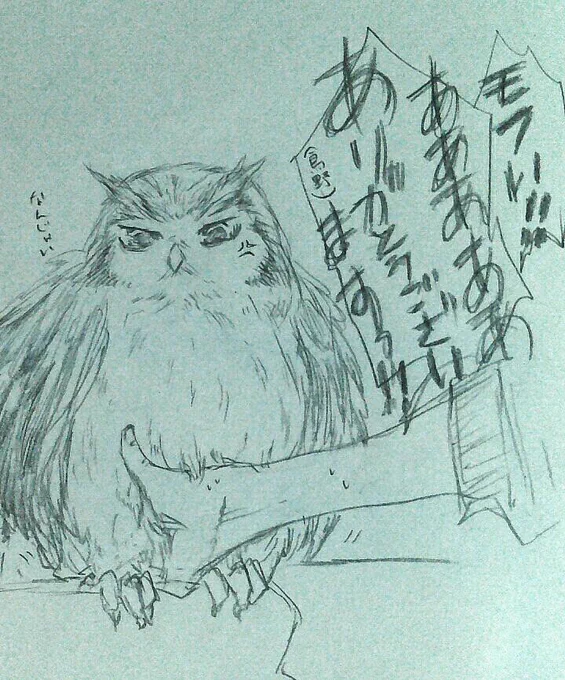 先日のふくろうカフェで丸くなったふくろうの股間に手をぶっこむというセクハラをしていて、写真取れなかったのが残念で。 