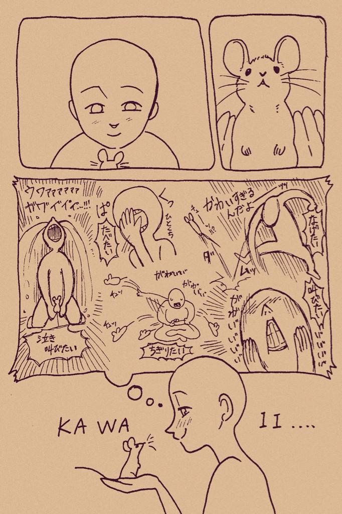くだらない落書き…小動物を見た時の私の頭の中と現実 