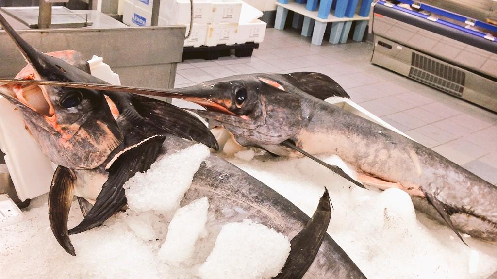 ChefRivaroli's tweet photo. Banco del pesce alla Metro Milano.
Due meravigliosi spada...mmmmm!!!!
Alla Griglia??
@MetroAcademy
#chefRivaroli http://t.co/gVkoR6zsXu