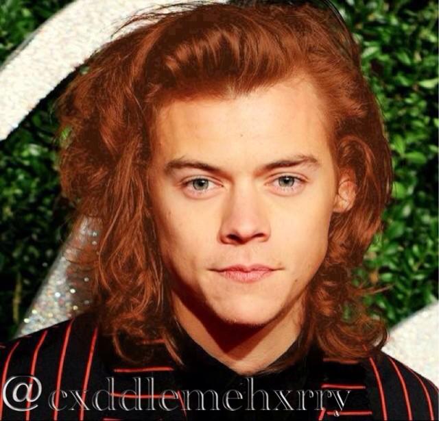 heyangelboy's tweet photo. In case you have ever wondered... I now present you with ginger Harry!
#MTVStars One Direction
#GingerHarry http://t.co/RIh5kULUbs
