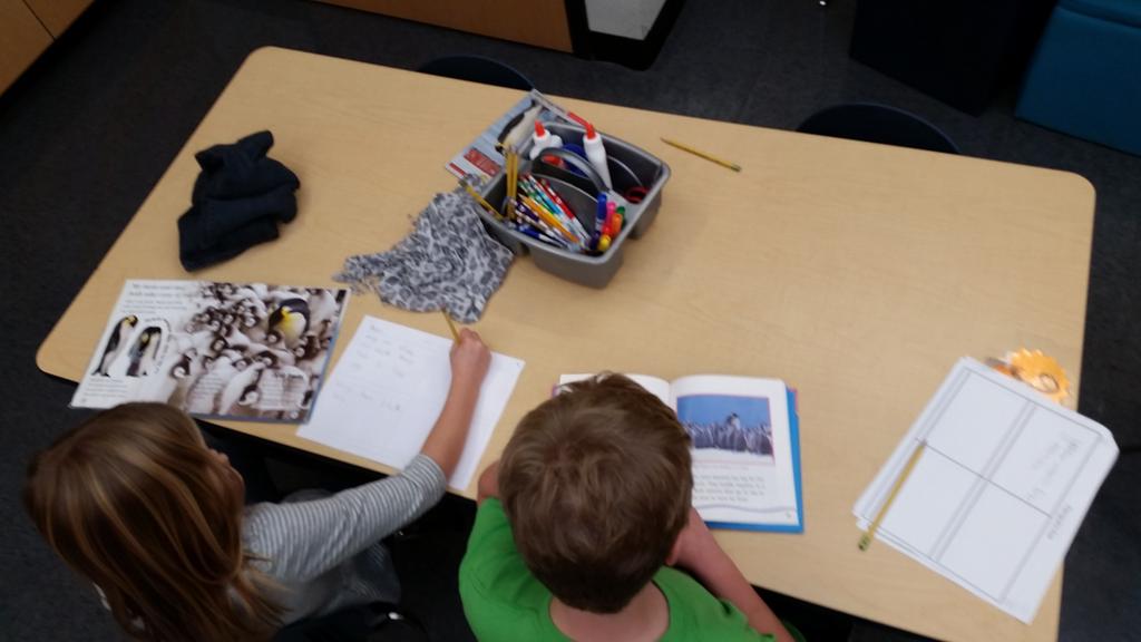 1st grade Mavs engaged in Penguin research #dentonchat #hawk