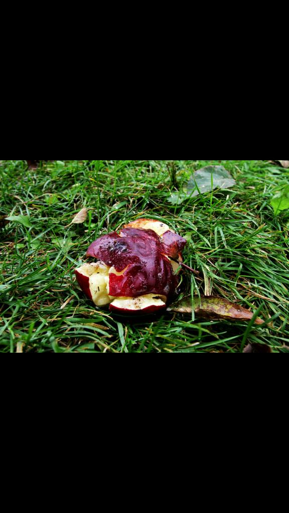 DreamTeamPapio's tweet photo. Our opponent after the game this sunday. http://t.co/5dig561ixN