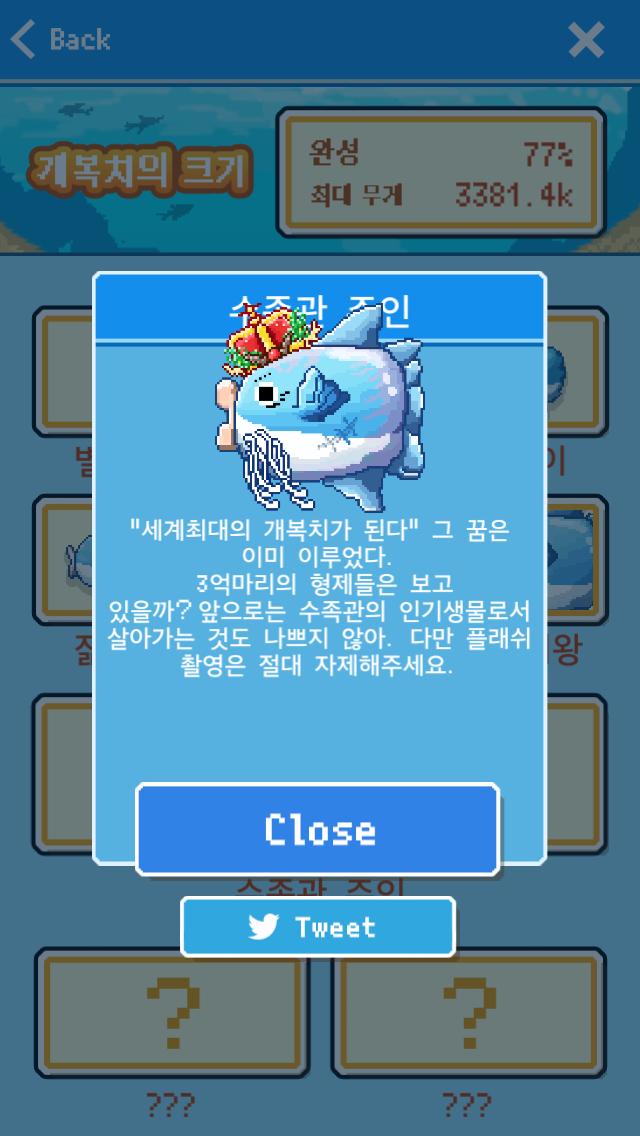 ind11993's tweet photo. 개복치가 「랭킹7:수족관 주인」으로 진화했어！ 무료육성 게임【살아남아라！개복치】 #개복치 http://t.co/SSOL9HzfxD http://t.co/ydXtHx7sXj