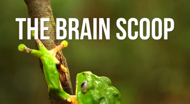 Embedded image permalink