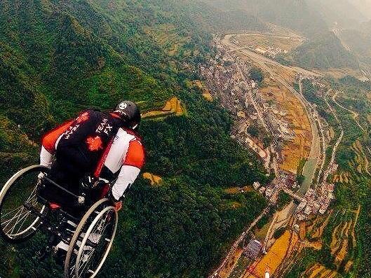 Dream Exotics tweet media